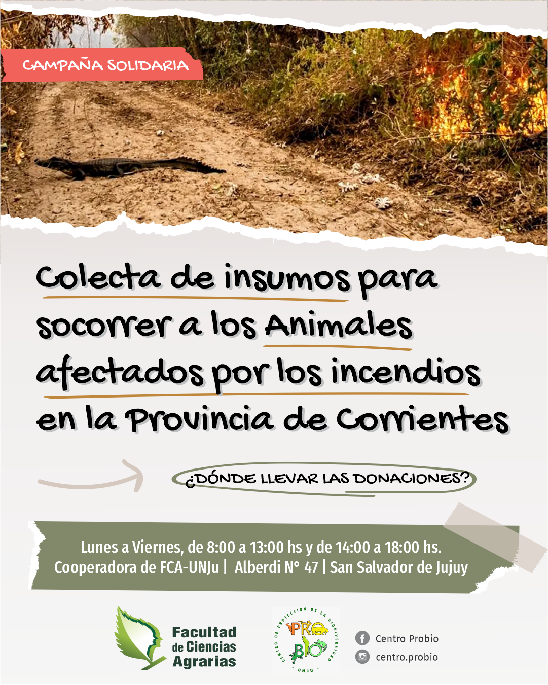 Colecta de insumos para socorrer a los animales afectados por los incendios en Corrientes