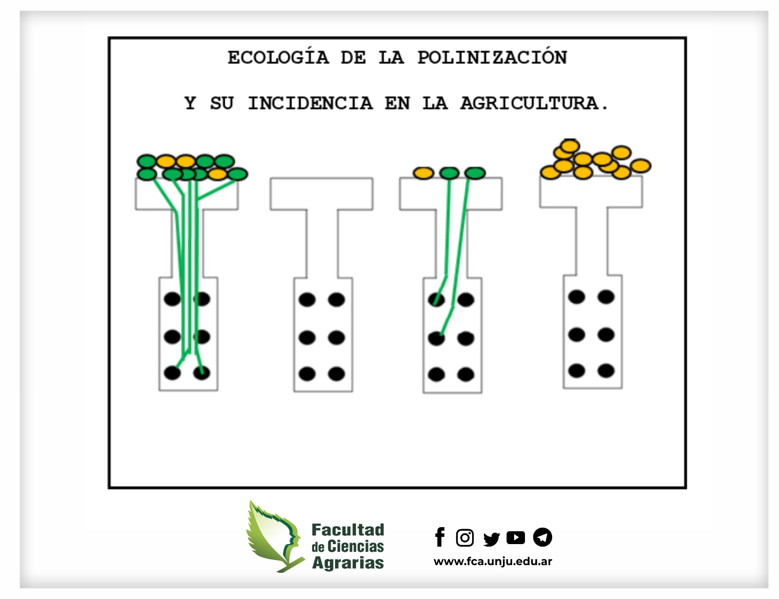 imagen_curso