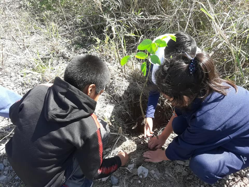 PROYECTO DE EXTENSIÓN - CRECÉ JUNTO A TU ÁRBOL