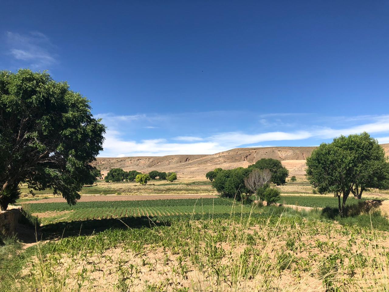 Yavi-taller: Charlando del Tiempo, del Clima, del instrumental meteorológico, El Niño intercambiand