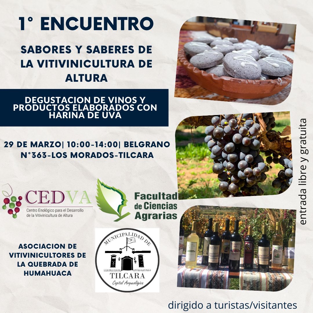 Presentarán "Sabores y Saberes de la Vitivinicultura de Altura"