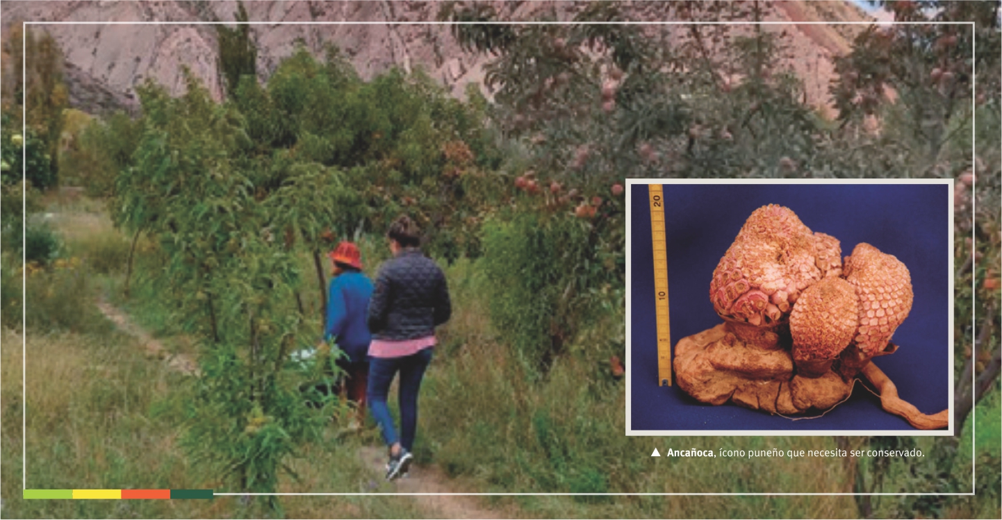 PUBLICACIÓN EN “AVES ARGENTINAS-REVISTA DE NATURALEZA Y CONSERVACIÓN”