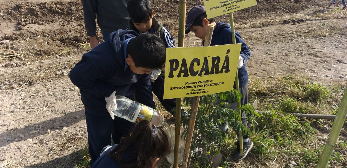 NUEVO ENCUENTRO POR EL PROYECTO "CRECÉ JUNTO A TU ÁRBOL"