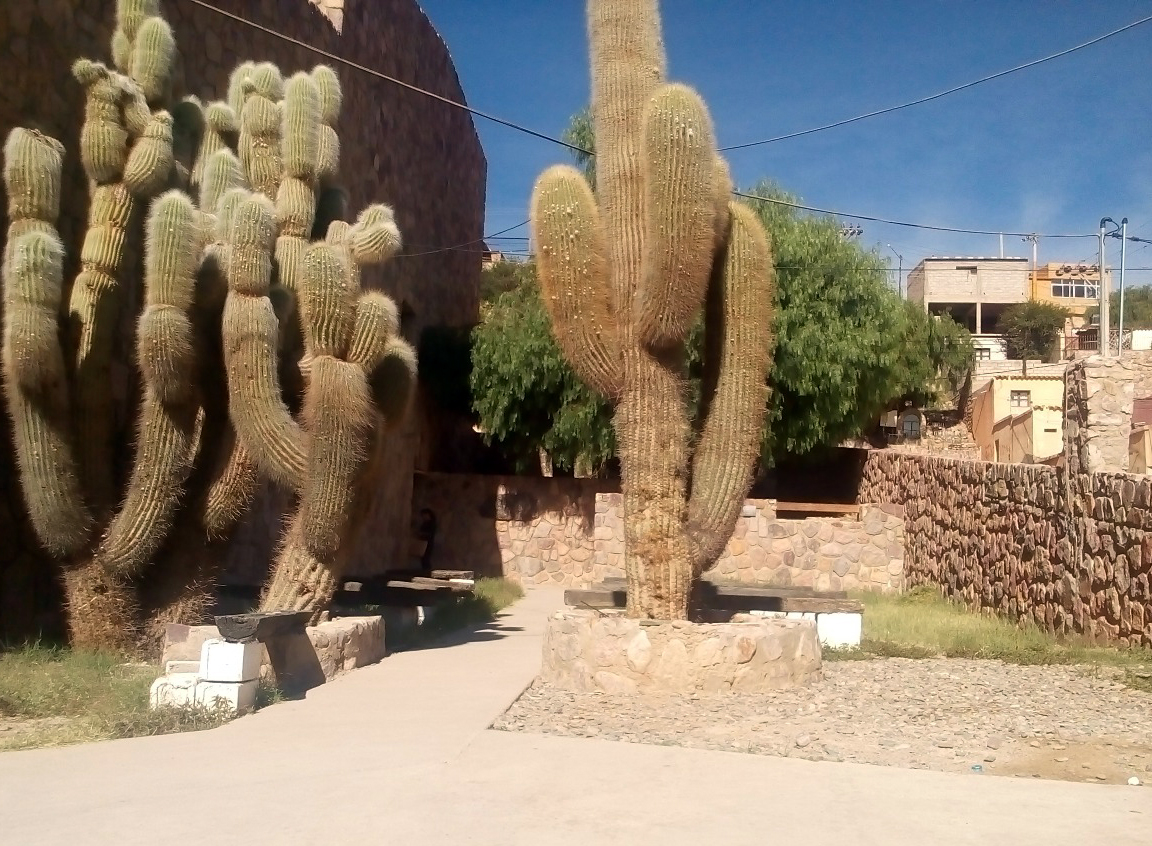 ESTUDIA EN HUMAHUACA LA LICENCIATURA EN DESARROLLO RURAL