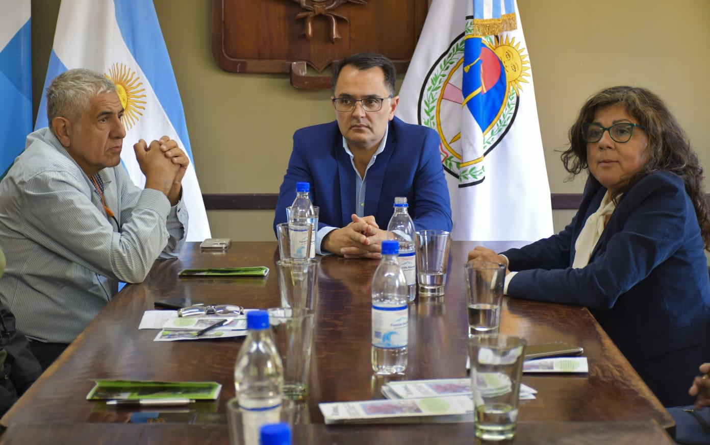 Continúan trabajando para mejorar el arbolado urbano