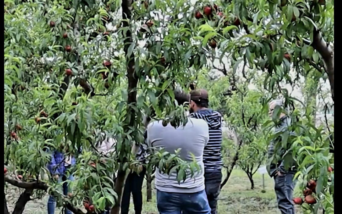 El INTA puso en valor la articulación con Agrarias de la UNJu