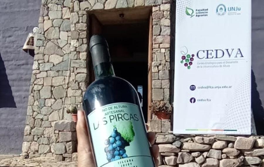 Se realizó la Jornada “Sabores y Saberes de la Vitivinicultura de Altura”