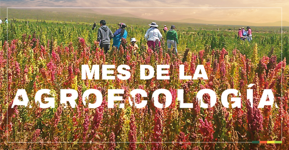 Video | Reflexiones en el Mes de la Agroecología #ElCaminoEsLaAgroecologia
