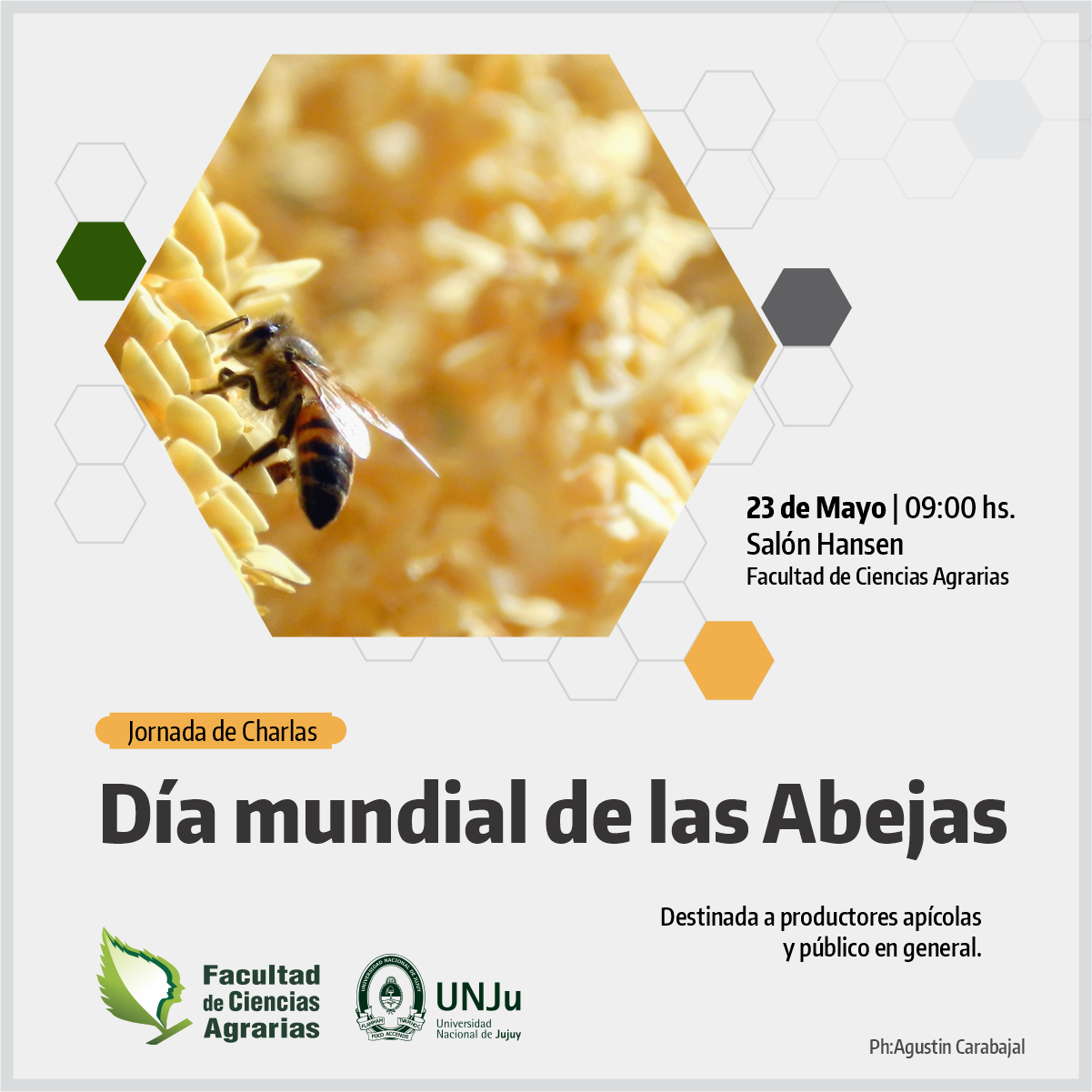 Realizarán Jornada de Charlas por el Día Mundial de las Abejas