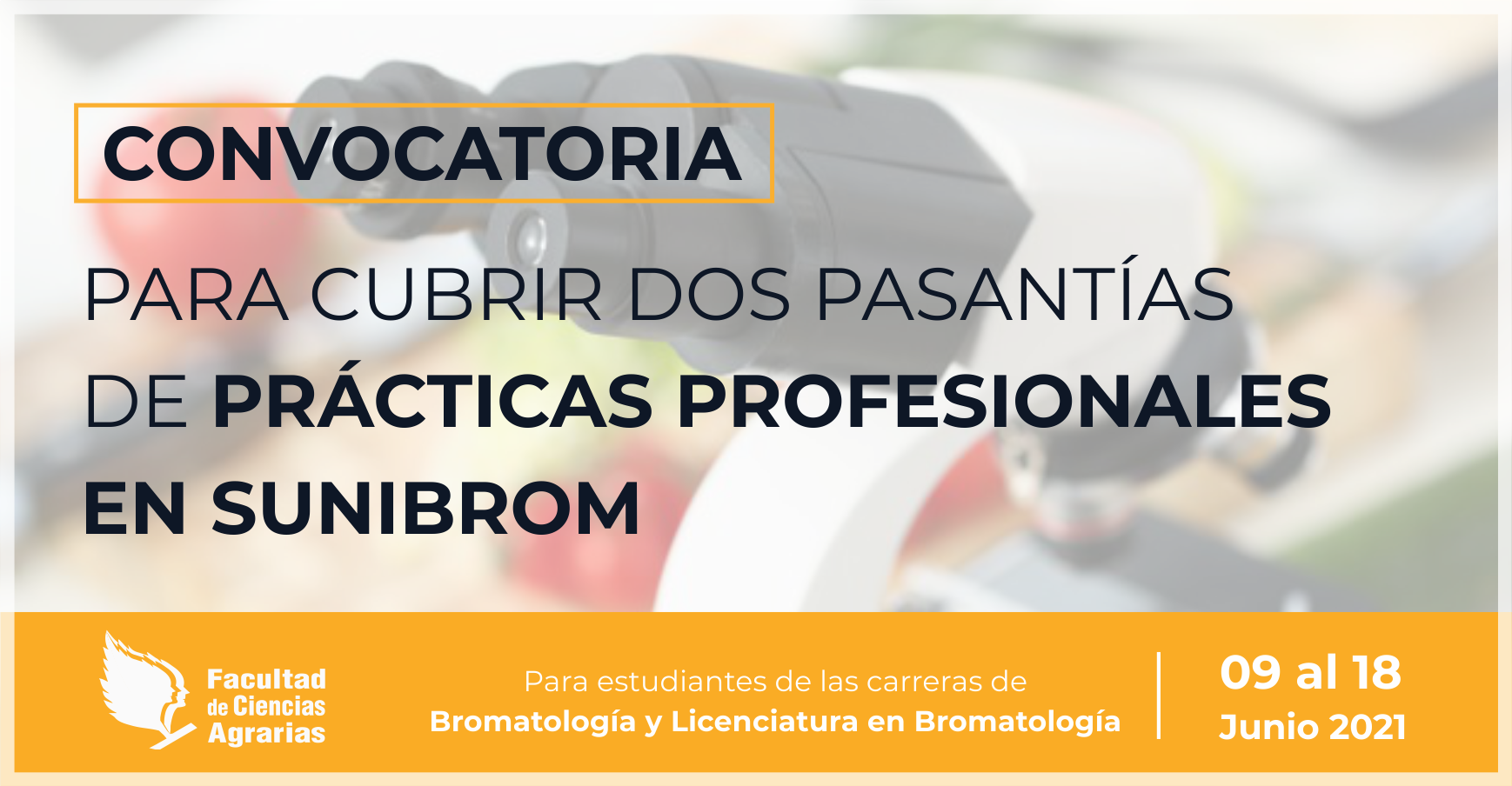 Convocatoria de Prácticas Profesionales en SUNIBROM