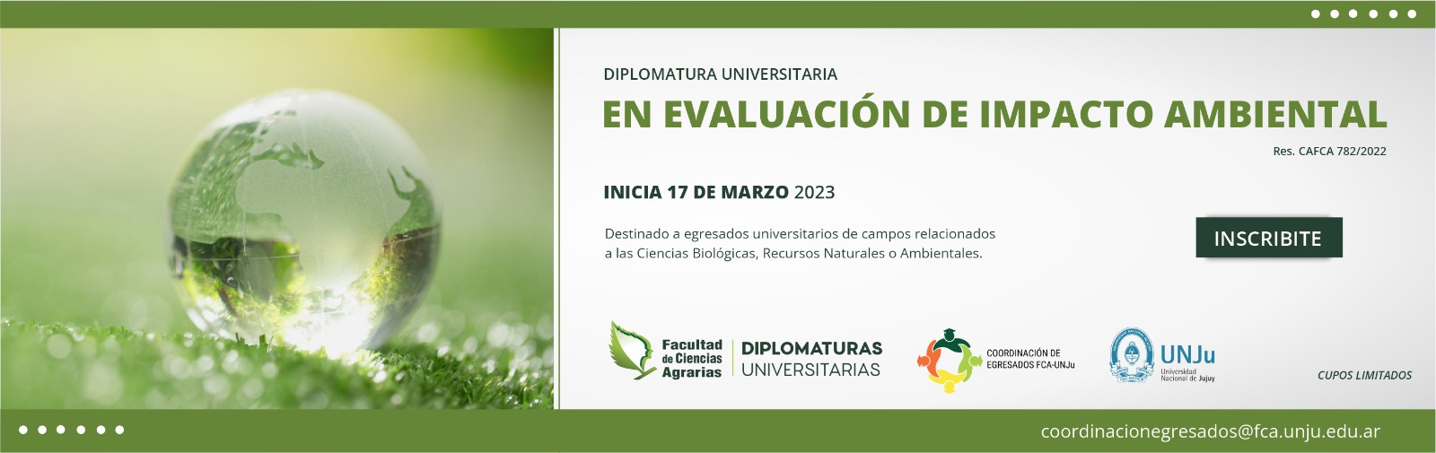 diplomatura_impacto